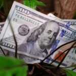 El dólar para el fin de semana: lo que debes saber antes de cambia