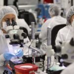 La casi silente transformación de las zonas francas del país